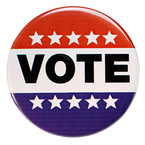 Montana political consulting